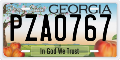 GA license plate PZA0767