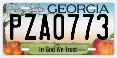 GA license plate PZA0773