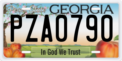 GA license plate PZA0790