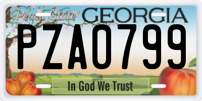 GA license plate PZA0799