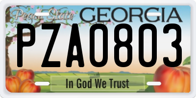GA license plate PZA0803