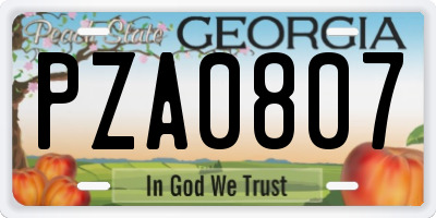 GA license plate PZA0807