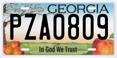 GA license plate PZA0809