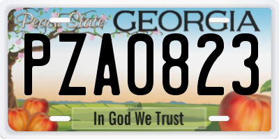 GA license plate PZA0823