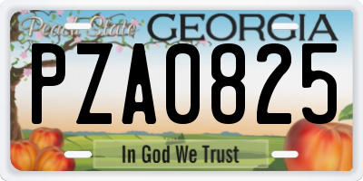 GA license plate PZA0825