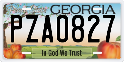 GA license plate PZA0827