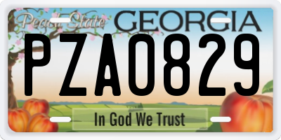 GA license plate PZA0829