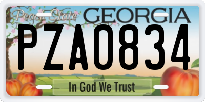 GA license plate PZA0834