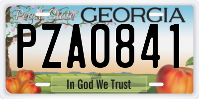 GA license plate PZA0841