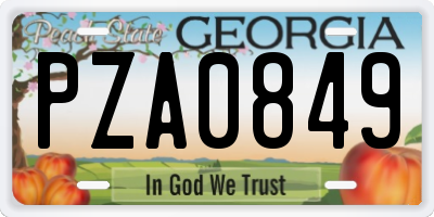 GA license plate PZA0849