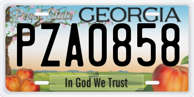 GA license plate PZA0858