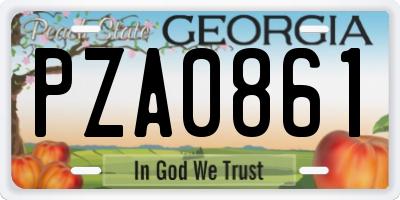 GA license plate PZA0861