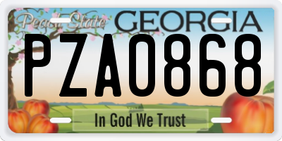 GA license plate PZA0868