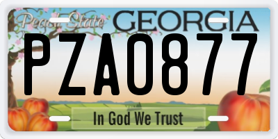 GA license plate PZA0877