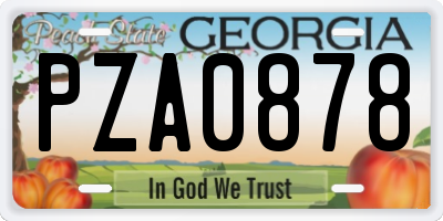 GA license plate PZA0878