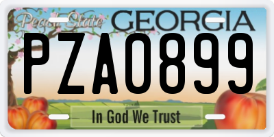 GA license plate PZA0899
