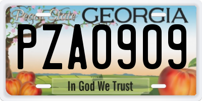 GA license plate PZA0909