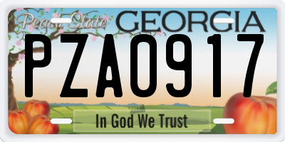 GA license plate PZA0917