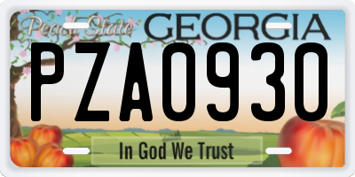 GA license plate PZA0930