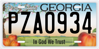 GA license plate PZA0934