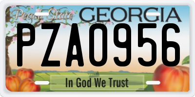 GA license plate PZA0956