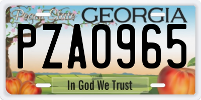 GA license plate PZA0965