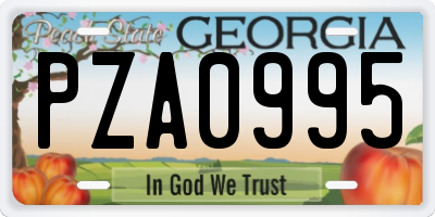 GA license plate PZA0995