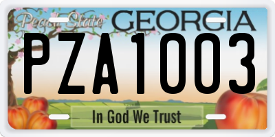 GA license plate PZA1003