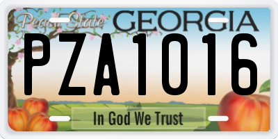 GA license plate PZA1016