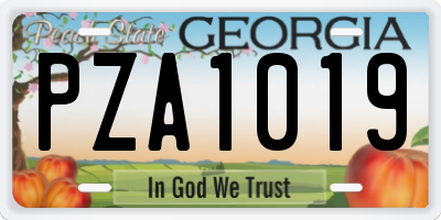 GA license plate PZA1019