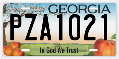 GA license plate PZA1021