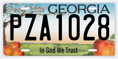 GA license plate PZA1028