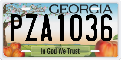 GA license plate PZA1036