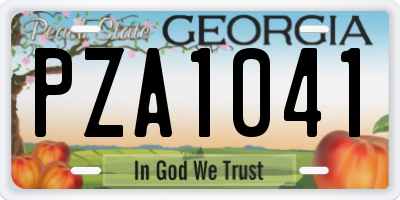GA license plate PZA1041