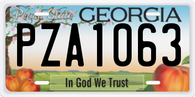 GA license plate PZA1063