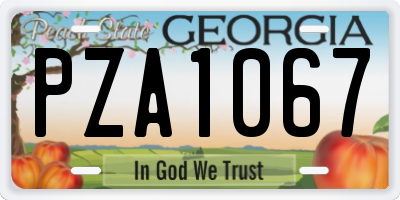 GA license plate PZA1067