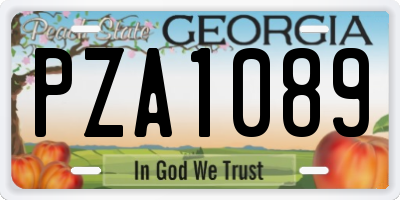GA license plate PZA1089