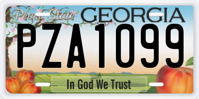 GA license plate PZA1099