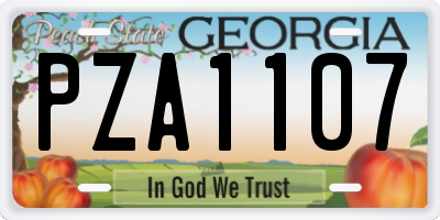 GA license plate PZA1107