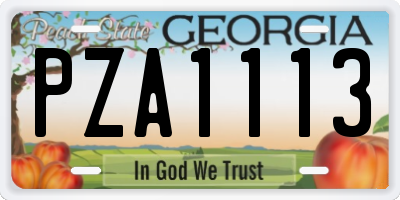 GA license plate PZA1113