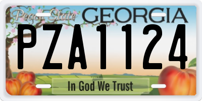 GA license plate PZA1124