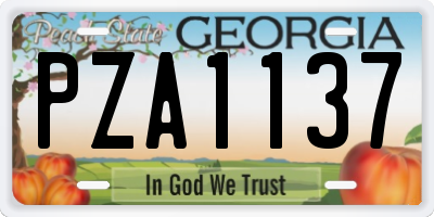 GA license plate PZA1137