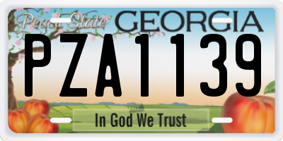 GA license plate PZA1139