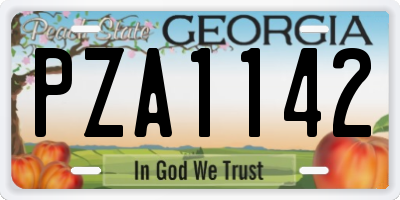 GA license plate PZA1142