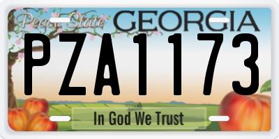GA license plate PZA1173
