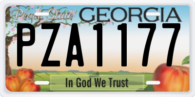 GA license plate PZA1177
