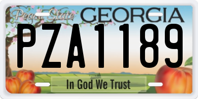 GA license plate PZA1189