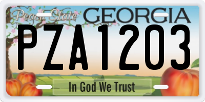 GA license plate PZA1203