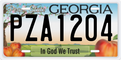 GA license plate PZA1204
