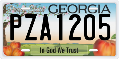 GA license plate PZA1205